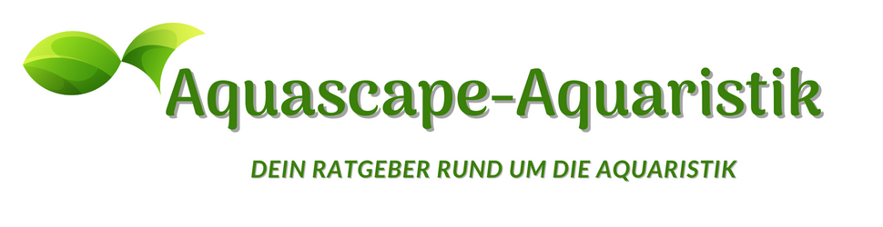 Aquascape-Aquaristik