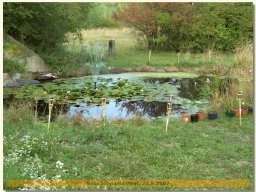bild0133